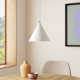 Johnston Single Light Metal Dimmable LED Pendant
