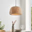 Pewamo 1 - Light Black Dome Pendant