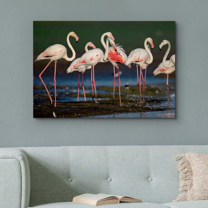Flamants roses vibrantes, safari et jungle, Toile tendue, H 32 po x l 48 po x P 1,5 po