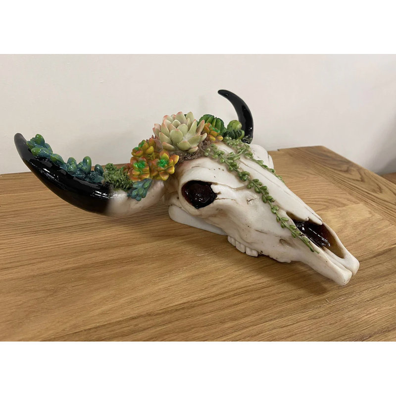 Animals Bust, 29cm H x 30cm W x 11cm D