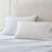 Martha Stewart Cotton Percale  Sheet Set-124927709-115629658