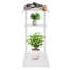 Support pour plante Kiamara