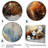 Brown Sloths Winter - Slothwall Art-312524236-312524227