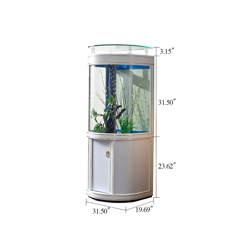Aquarium 31,5 po, 42,27 gallons (H 58,27 po x l 31,5 po x P 19,69 po