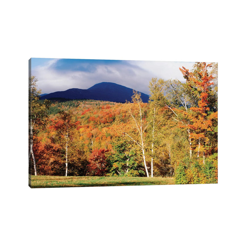 Autumn Landscape, White Mountain National Forest, New Hampshire, USA - Wrapped Canvas Print, 20.32 cm H x 30.48 cm W