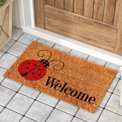 Paillasson coccinelle 17 po x 29 po