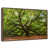 Floating Frame Walnut