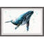 Strinko «Watercolor Blue Whale», reproduction d'art encadrée sur papier-417773415