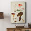 Mushroom Species XI - Gallery Cavas-117752716