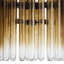 Maxton 3 - Light Chandelier