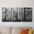 " Breaking Through " 3 Piece Art Color Photography Print-903505978