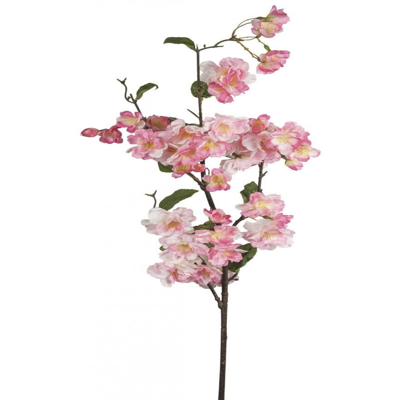 Cerisier en fleurs, plantes et arbres