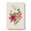 Illustration Of Beautiful Flowers - Wrapped Canvas Painting-55304367