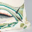 Coussin Royal Royal