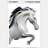 Creative Abstract Irregular Wall Hanging Decor Black& White Horse Home Decoration