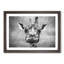 Wonderful Giraffe - Framed Print-56739750-56739755