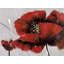 «Red Poppy Flowers», reproduction sur toile