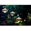 Calypso Martinique 1-Light Hanging Lantern-139628896