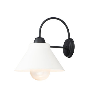 Shayne Wall Light