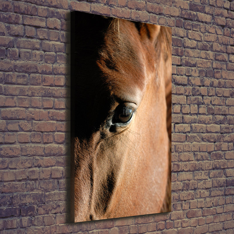 Horse - Wrapped Canvas Print