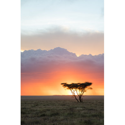 Sunset In The Serengeti by Pedro Ferreira Do Amaral - Wrapped Canvas Print