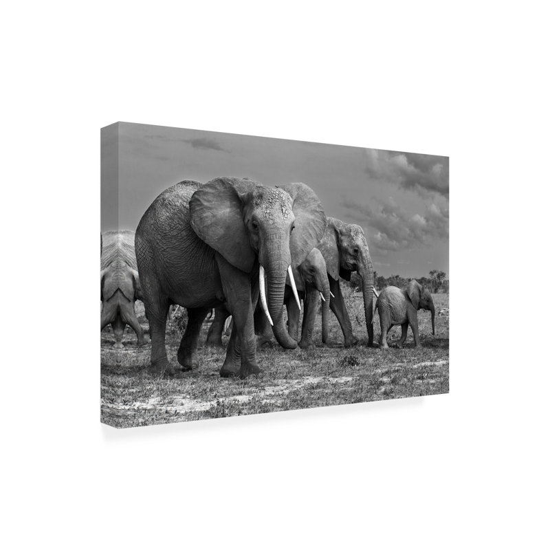 Art sur toile, bolognaise, Massimo Mei, famille d'éléphants, H 30 po x l 47 po