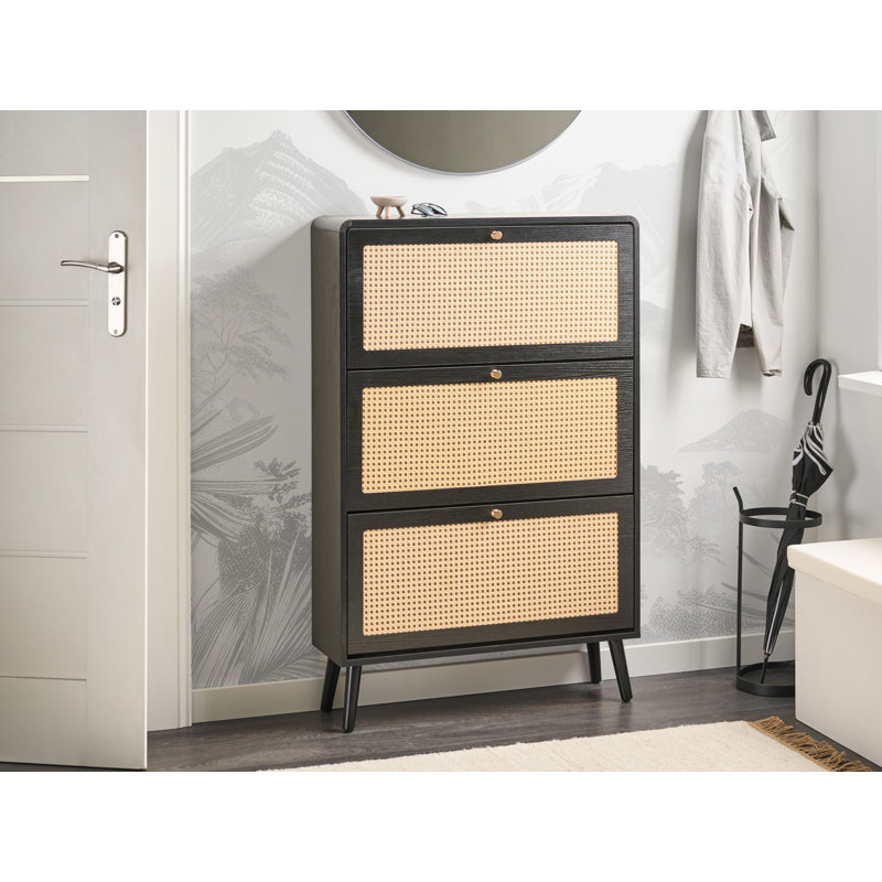 12 Pair Shoe Storage Cabinet