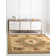 Aracelia Area Rug