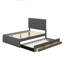 Lit plateforme double avec lit gigogne et tiroirs-2031344402