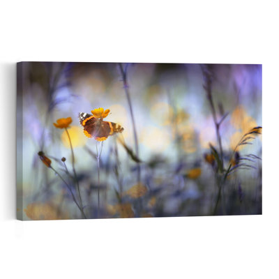 Dreamy Meadow Butterfly Delicate Dreamy Abstract Butterfly Buttercup Flower Nature Wall Art Print by Heidi Westum - Print