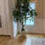 Photos des clients 2 de 3