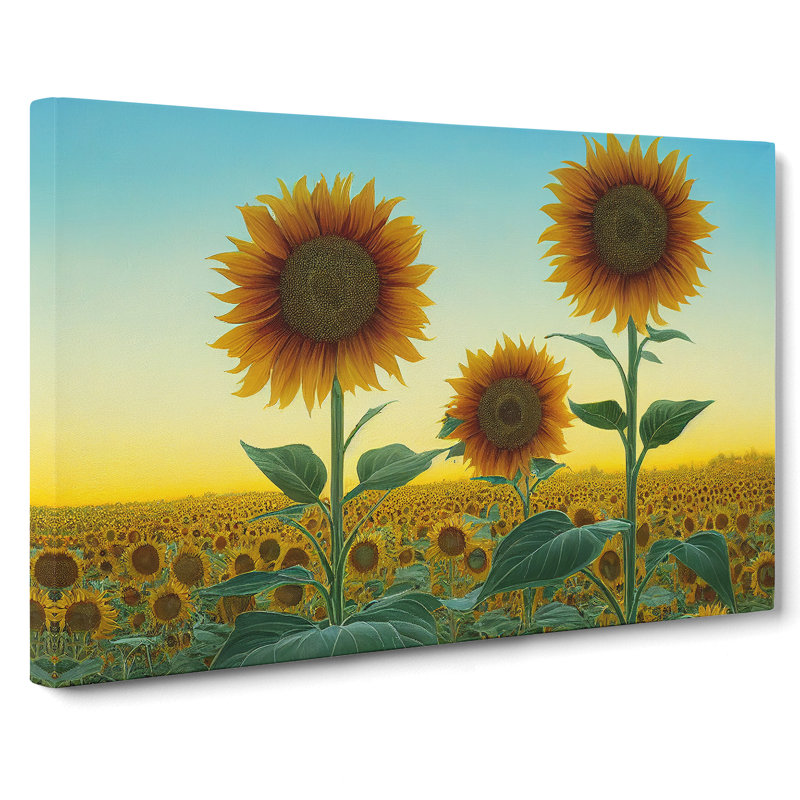 Tremendous Sunflower Field - Wrapped Canvas, 40cm H x 60cm W x 3cm D