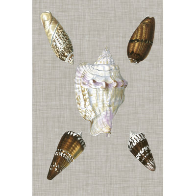 Shells On Linen II by Vision Studio - Wrapped Canvas Print