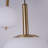 5-light Bubble Chandelier Brushed Brass Chandelier