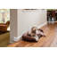 Coussin de lit pour chien Gaddy-1429329087-1429328960