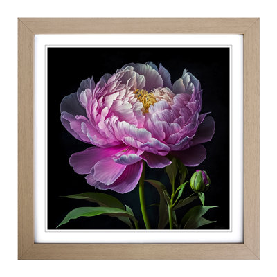 Peony Flower Floral Art - Framed Print