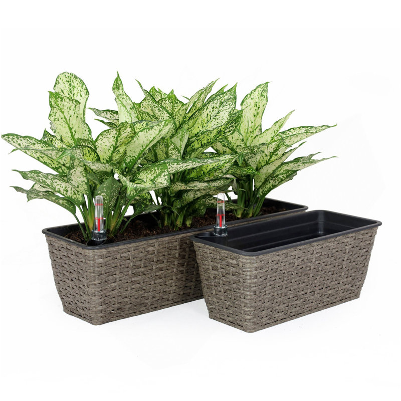 2-Pack Self-Watering Planter - Hand Woven Wicker - Rectangular - Dark Gray