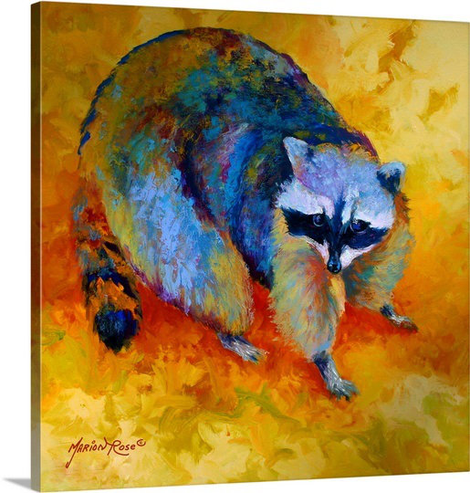 "Siya Coon" par Marion Rose, reproduction d'art sur toile tendue, H 8 po x l 8 po x P 1,5 po