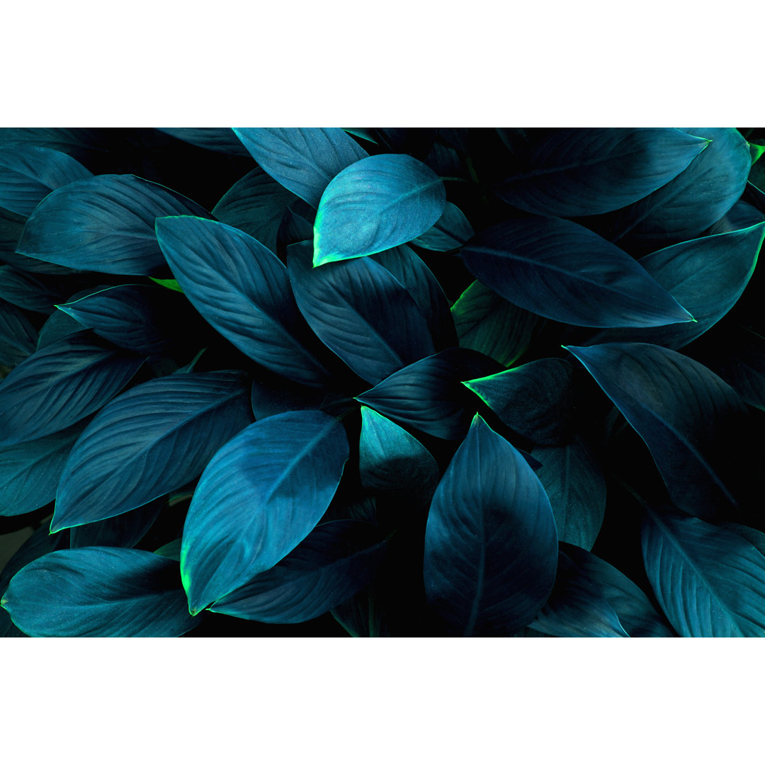 Closeup Nature View Of Green Leaf Background by Thanabodin Jittrong - Wrapped Canvas Print
