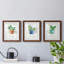 Basilic en pot - ensemble de 3 cadres photo-1394617015-1394617014