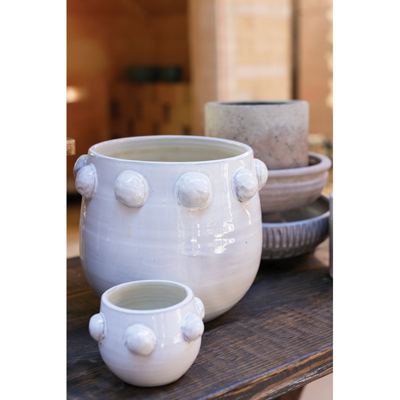 Zira Pot Planter, 3.5" H x 5" W x 5" D