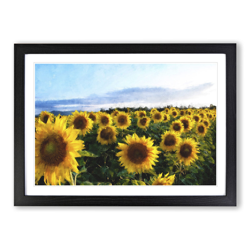 Sunflowers - Picture Frame Painting, Black Framed, 27cm H x 36cm W x 2cm D