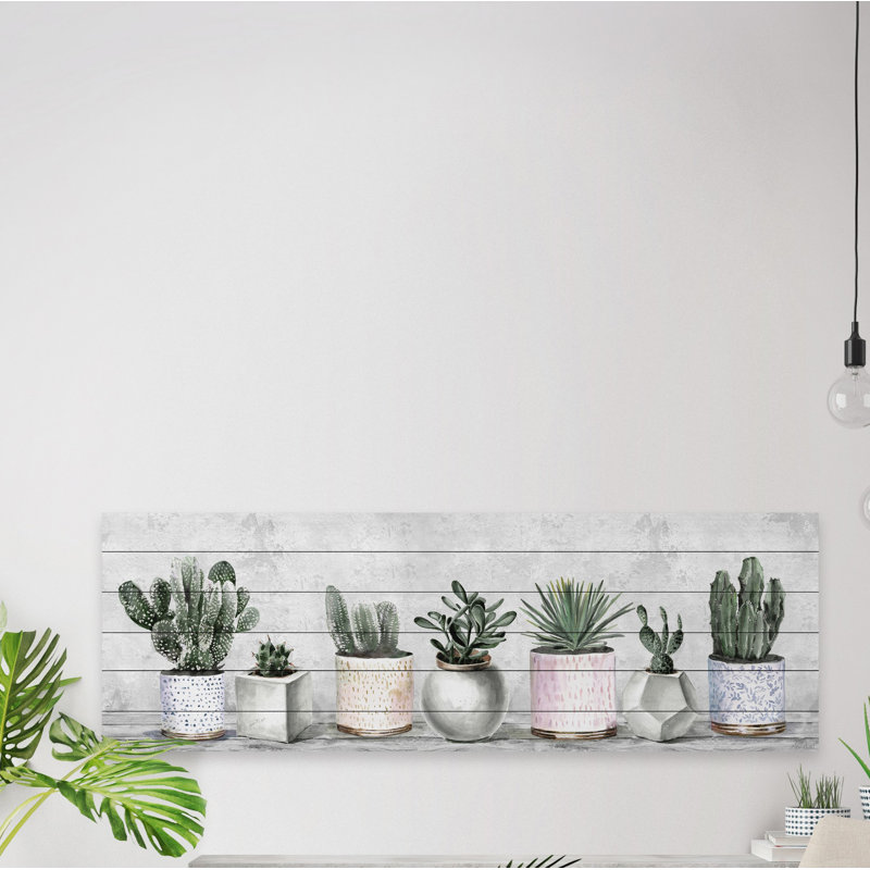Impression encadrée « indoor succulents », H 15 po x l 45 po x P 1,5 po