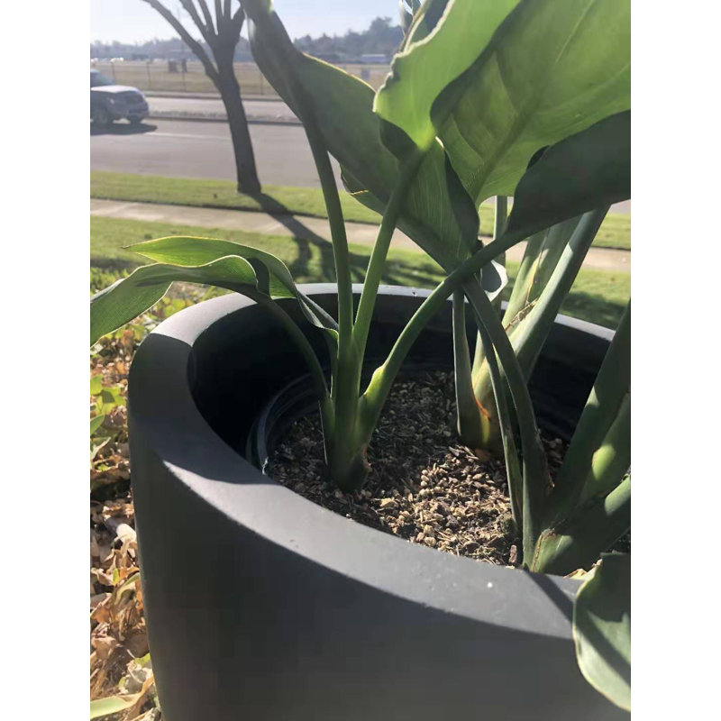 Pot à fleurs en béton Karola, Gris anthracite, H 17 po x l 18 po x P 18 po