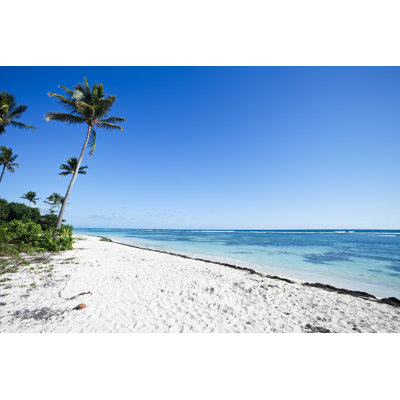 Palm Trees On Caribbean Beach by Stevegeer - No Frame Art Prints on Canvas