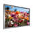 Silver Single Picture Framed