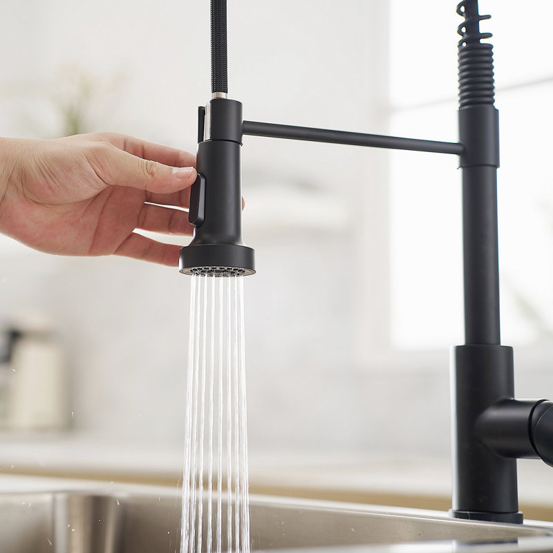 Robinet de cuisine avec douchette extractible, robinet d'évier de cuisine à poignée simple, Noir