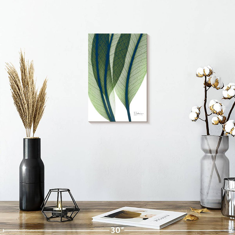 Harnek Vibrant Botanicals I, H 12 po x l 8 po