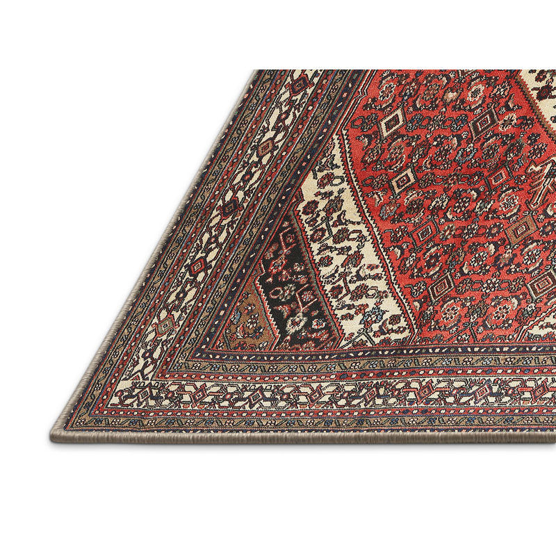 Oriental Indoor Rug, Rectangle 5' x 8'
