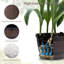  Ashayla - Paquet de 4 pots à plantes de 11,8 pouces avec barils à whisky avec trous de drainage et plateau à soucoupe pour plantes d'intérieur et d'extérieur